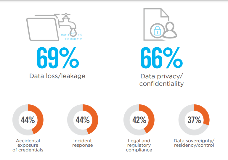 Checkpoint Cloud Security Concerns